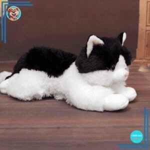Peluche chaton noir