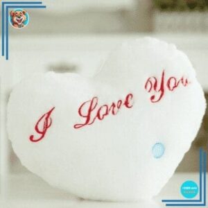 Peluche oreiller blanc I Love You
