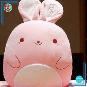 Peluche oreiller lapin