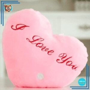 Peluche oreiller rose I Love You