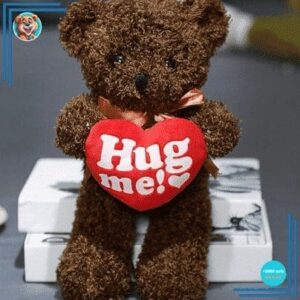 Peluche ours brun gros câlins
