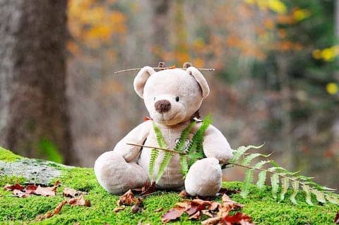 Un ours en peluche beige dans la nature attendant son ami